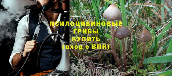 круглые Аркадак