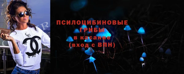 spice Арсеньев