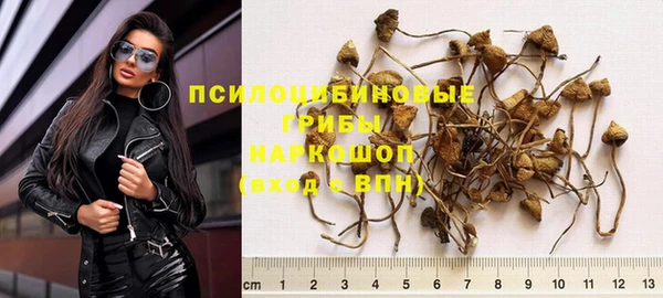 spice Арсеньев