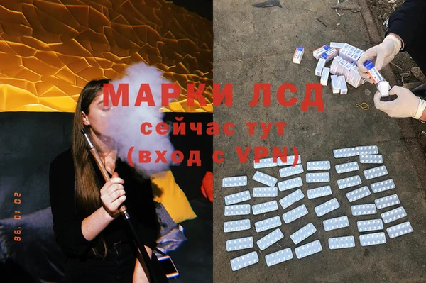spice Арсеньев