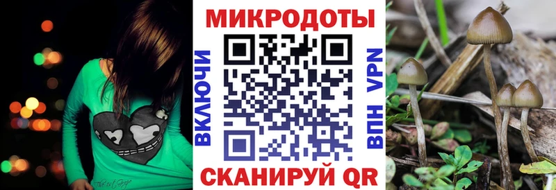 Купить где  Большой Камень  Галлюциногенные грибы прущие грибы 
